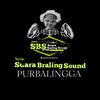newsbspurbalingga