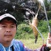 lubis