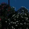 usersxfcg1phuk