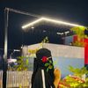 mahimaislam804