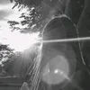 slvnccc
