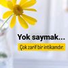 userbhy3azewot