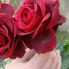 user1444298159853