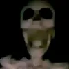 xrudinix
