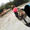 valon_ss