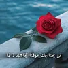 mo118800a