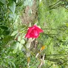 md.joshimmd.joshim