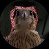 userxpco3dslmq