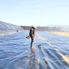 omarlaktibi5