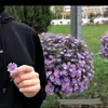 j_ni.s
