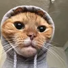 khongmotai96
