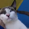 xtelerjx