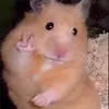 hthuyylinhh2051