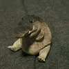 robertosulista