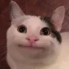 joonie8222