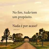 user7855014612436junior
