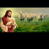 ararat826