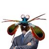 mantis_shripfrom0z