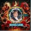 udie1237