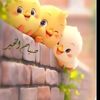 amjad.t79