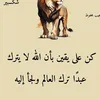bazin412