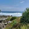 wahyu67_01