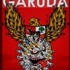 vicensio29