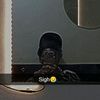 just_frank7