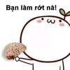 mr.bin0101