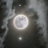 saharsahar4079