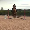 ourponylife01