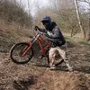 arczii85