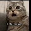 pedrozanataafonso777