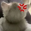 thaydoideyeuemcbd