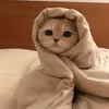 miklachanie