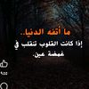 nadia.saleh73