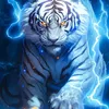dongque25