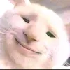 tehnubruk