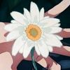 yamistar6