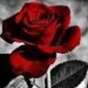 nefes.lov