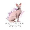 maydream_sphynx