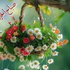 20hsn12