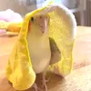 Simply Cockatoo