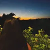 isaa.bertaci