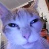 dany._ctt
