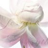 user0708177002