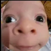 dinhtaiem0
