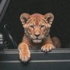 aahil_khan_1