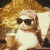 www.tiktok.combtsarmy29