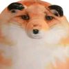yozawru